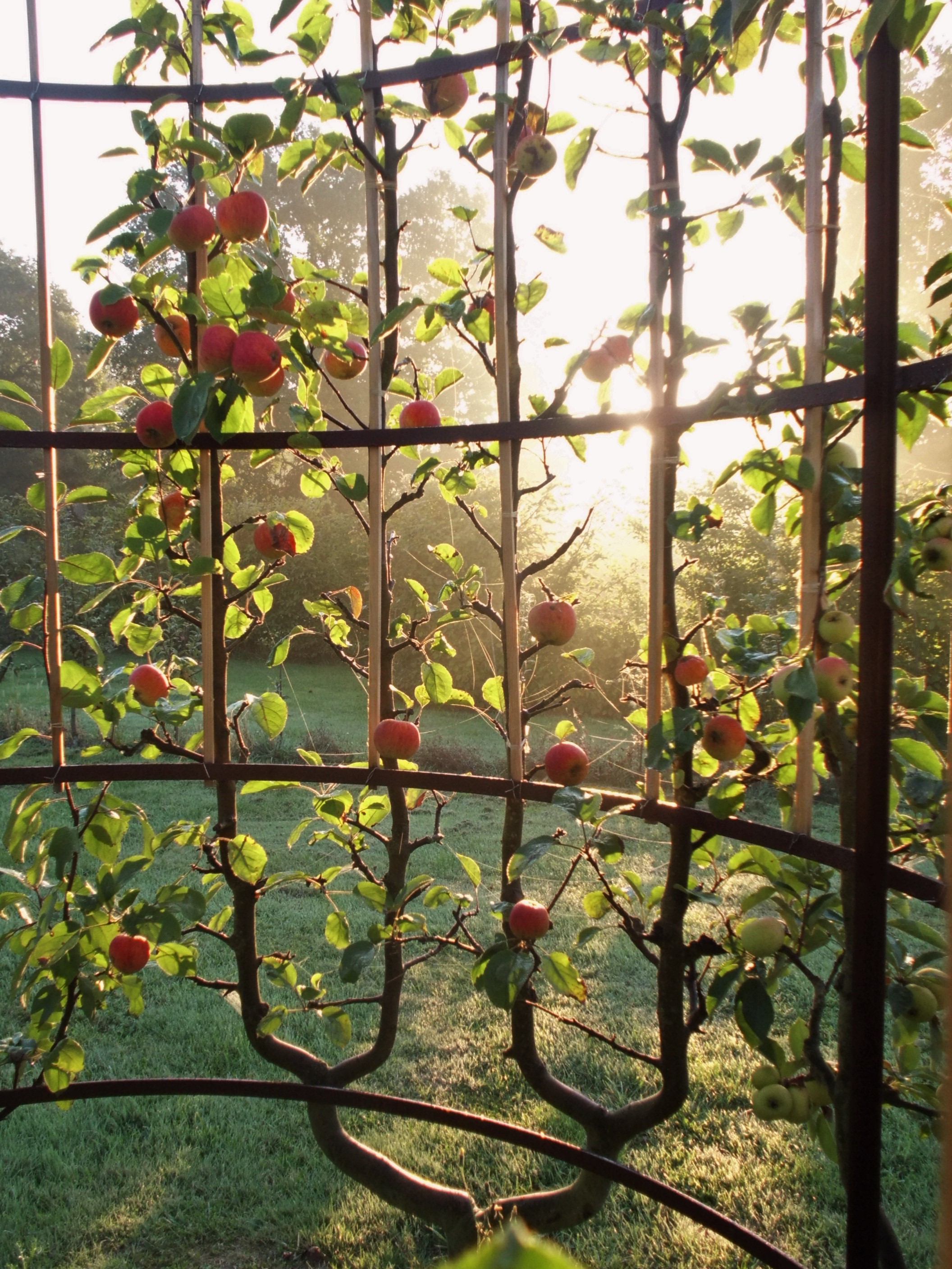 La Pommeraie idéale Parcs et Jardins en Région Centre