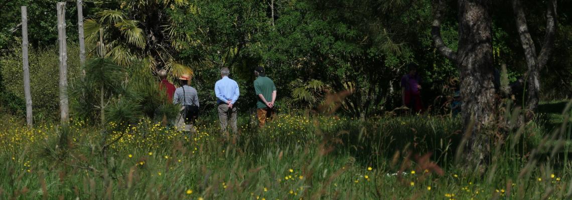 crédit : Arboretum de la Petite Loiterie
