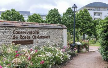 Roseraie Jean Dupont