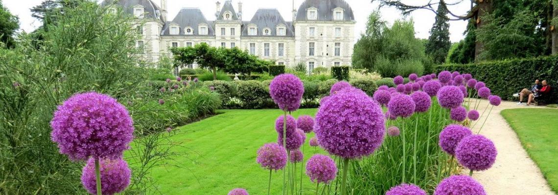 © Chateau de Cheverny