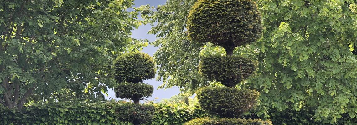 crédit : Jardins de la Couture