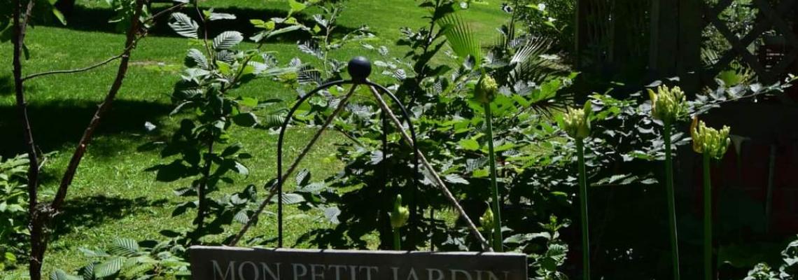 crédit : Jardin de La Folie Hubert