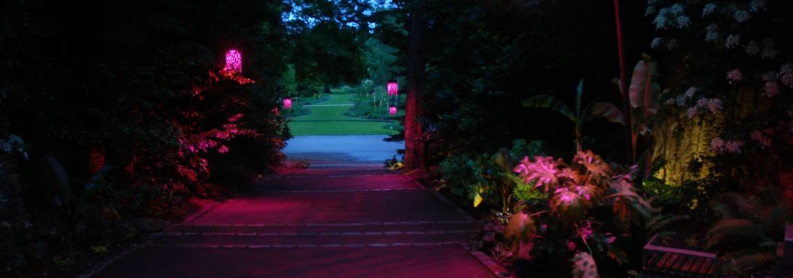 crédits : Lucas Goy - Jardins en Val de Loire