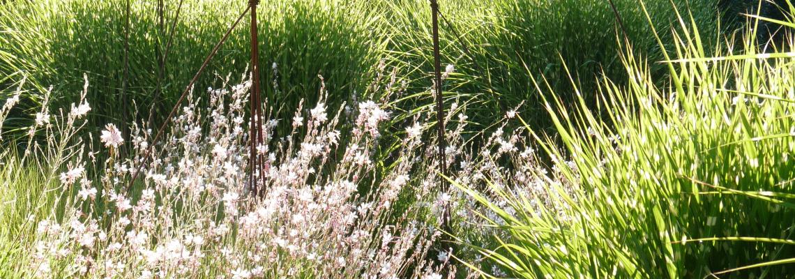 crédit : Jardins de la Régie