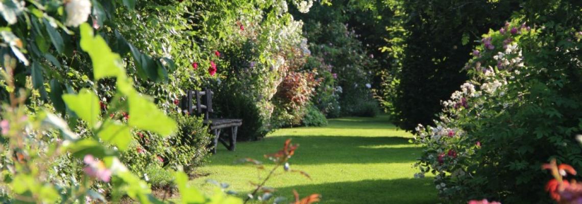 crédit : Jardins de Roquelin