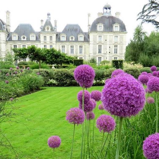 © Chateau de Cheverny