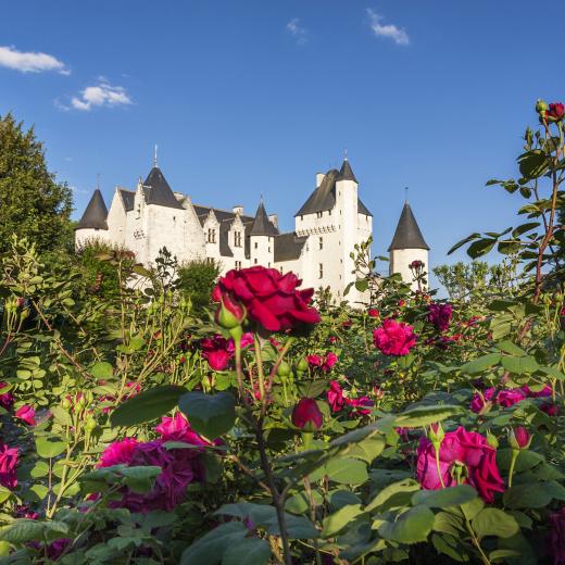 crédits : Château du Rivau