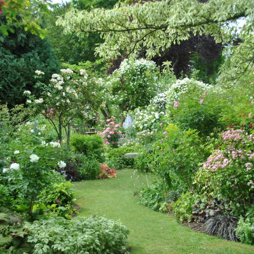 crédit : Jardin personnel André Eve