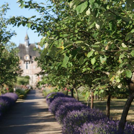 crédit : Château de la Bussière