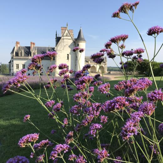 crédit : Fondation Saint Louis