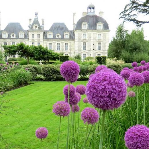 crédits : Château de Cheverny