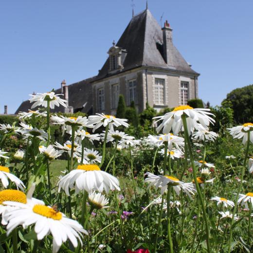 Crédit : @ Azay le Ferron