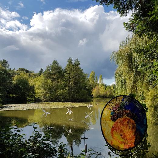 Arboretum de la Martinière Parcs et Jardins en Région Centre