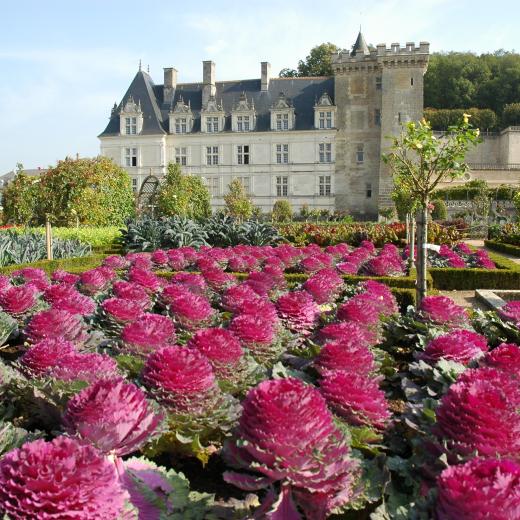 crédits : chateau_et_jardins_de_Villandry