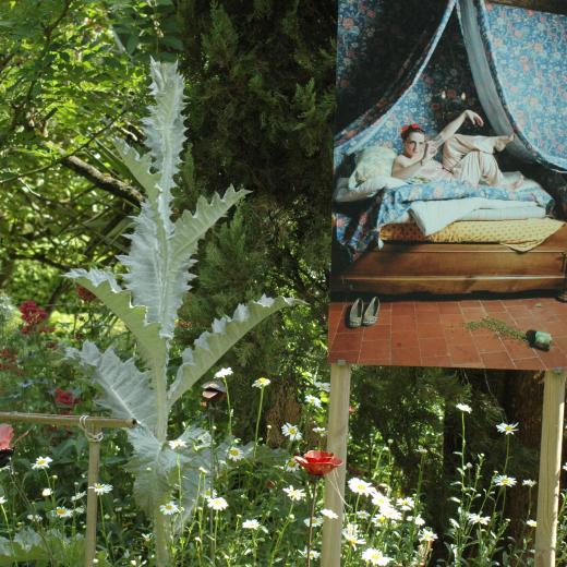 crédit : Jardin des MétamorphOZes