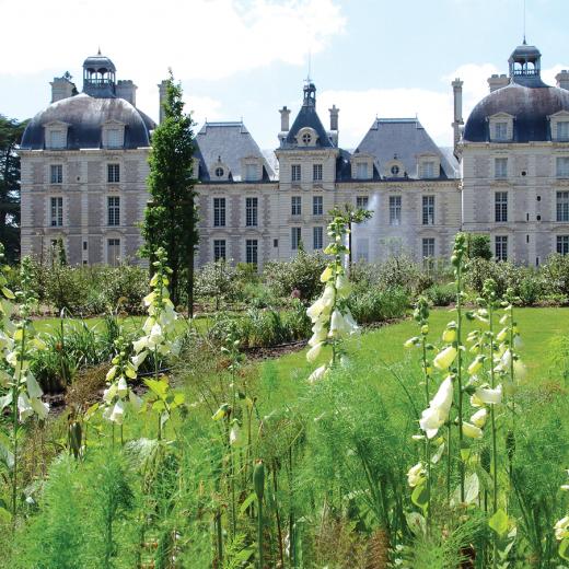 Parc du Château de Cheverny Parcs et Jardins en Région Centre