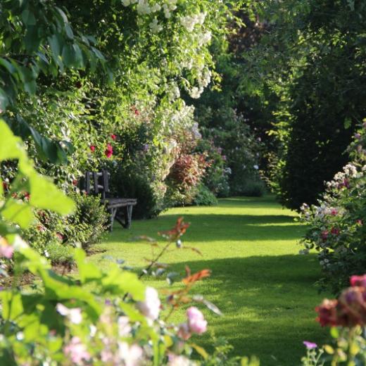 crédit : Jardins de Roquelin